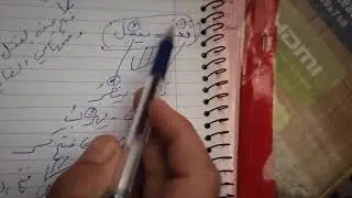 أبواب الأفعال الثلاثية للثالث المتوسط