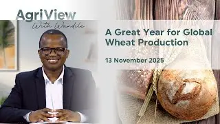 Ep 25 -  A Great Year for Global Wheat&nbsp;Production