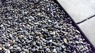 Noiyo River Rock A Better Value Than Mexican Beach Pebbles