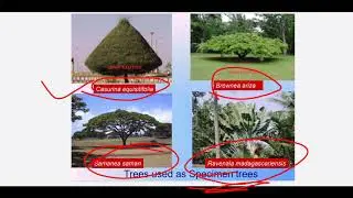 Trees in Landscaping !! JRF+SRF , DDA, Bsc(Ag) ,any competitive exam !!