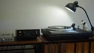 Jungle Night in Harlem / Duke Ellington and his Orchestra
