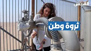 بيبي في مياه الروضتين.. ثروة وطن