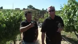 SoCal WineTV Presents: Leoness Cellars, Temecula Valley CA