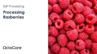 OctoFrost Frozen - IQF Berries: Raspberry