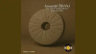 Crna zemljo, svetla dušo (feat. Doktor Predrag Mitrović)