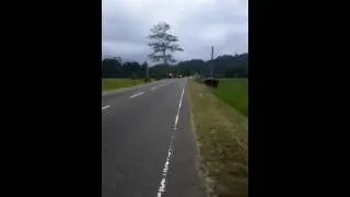 kohomadha   bus   eka   yana  hati #automobile #driver #love #new #viralvehicles