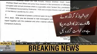 Hamza Shehbaz files bail plea in LHC