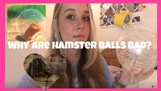 Why Hamster Balls are Bad 💖🐹