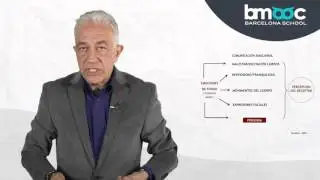 Comunicaci&oacute;n emocional 7/12