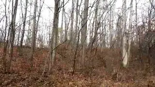Homes for Sale - 4079 Deerhill Drive - York, PA 17406 - Glen Heidlebaugh