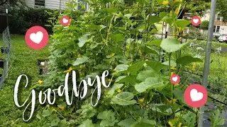 Saying Goodbye to the Old Garden and Welcoming the New - Garden Vlog