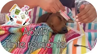 [ASMR] 🐶💤 CAMBIO DE IMAGEN A PANDORA SÚPER RELAJANTE | SPA PARA PERRITOS