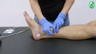 Curso online ''Fisioterapia en urología: disfunciones del suelo pélvico masculino'' con L. CALZADO