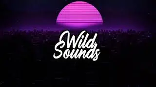 PSY-TRANCE  BlackHood & NecroKiller - Kali /Wild Sounds