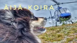Äijä-koiran helikopteriseikkailu