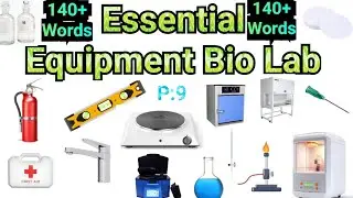 Essential Equipment Bio Lab Vocabulary in English with Pictures| P:9| Bio Lab all things words Vocab