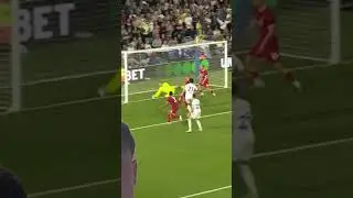 Pascal Struijk Vs Shrewsbury