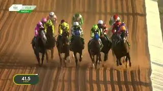 Жокей Obliteration и Джоэл Росарио заняли 2-е место в Саудовском дерби! 🏇🏼