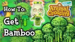 🎋 Animal Crossing New Horizons How To Get Bamboo Trees