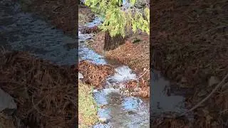 Soft water sound from Baby Creek After the Dry  Season. #freshrain  #nature  #creek