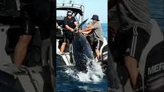 FISHERMEN STRUGGLE TO HAUL A MONSTER MARLIN ONTO THE BOAT #MonsterFish #Struggle