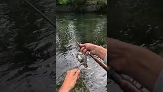#fishing #nature #outdoors #freshwater #gopro #angler #bass #scenic #fishingpole #trout