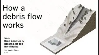Comparing debris flows and landslides