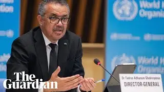 WHO officials hold coronavirus briefing &ndash; watch live