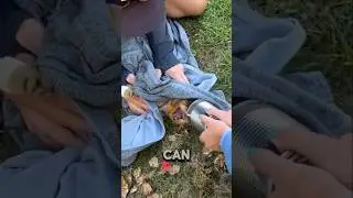 Kind people save a Cat from a tin can #animals #straycat #cat #animalrescue #rescuecats #shorts