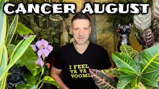 CANCER August 2022 ⭐️ OMG! YOU WILL HAVE AN AMAZING EXPERIENCE! | DISCOVERY & SIGN - Horoscope Tarot