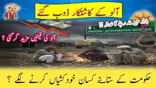 Kasur Farmers Crisis: Potato Crops Ruined | Heartbreaking Ground Report from Kasur