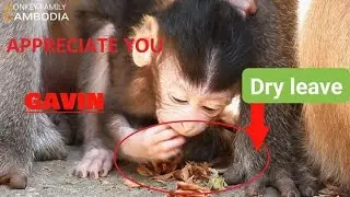SUCH AN EDUCATED MAMA GLADIS!!! YOU TEACH YOU BABY TO GET READY FOR ADAPTATION BY EAT DRY LEAVES.