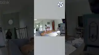 Serial burglar caught on camera inside Maryland home
