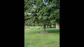 Video of Greenbrier State Park, MD from Greg S.