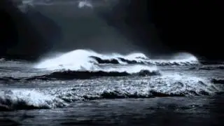 OWOM - The Wild Ocean