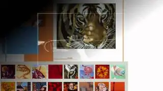 Website Design | Designers | Palm Springs, Palm Desert, Los Angeles, New York