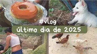 ASSIM FOI NOSSO FIM DE ANO NO SÍTIO 🍃