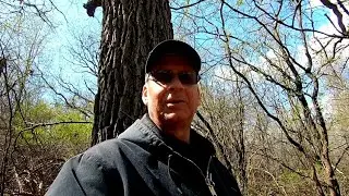 Early Spring - Woods Vlog with Wisconsin Greg 4/24/2023