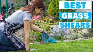 Professional Gardener Reveals the Top 7 Grass Shears of the Year