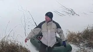 Saving a swan. Swan on ice in severe frost