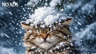 30 Minutes of Calm Winter Music with Kittens ❄️🐾 | Snowy Forest & Mountain Ambience (No Ads)