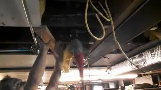 Drilling I-beams