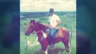 Vaqueiro cavalo e gado