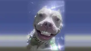 KIXIA, KREZUS - HOMAGE FUNK (ultra super slowed + reverb)