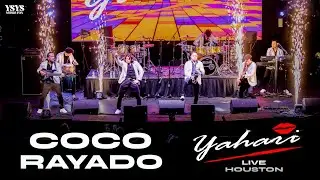 Yahari - Coco Rayado (Live Houston)