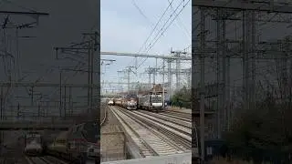 Amtrak P42 Heritage Unit Horn Show #amtrak #p42 #heritageunit #njt #horn #rare #railfan #railfans