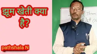 झूम खेती क्या है? स्थानांतरी खेती किसे कहते हैं? #jhoomcultivation Pathshala N 