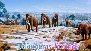Teleoceras Sounds