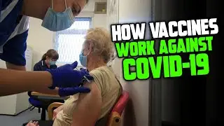 How Vaccines Work Against Covid-19 | Understanding Covid-19 Vaccine Efficacy