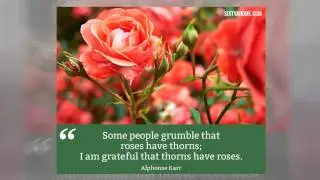 Gratitude Quotes to Inspire You this Thanksgiving